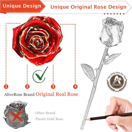 Valentines Day Gifts for Her - 24K Gold Rose Made from Real Rose, Unique Design Gold Plated for Anniversary (Red Original with Stand) - Zayd’s Department Store